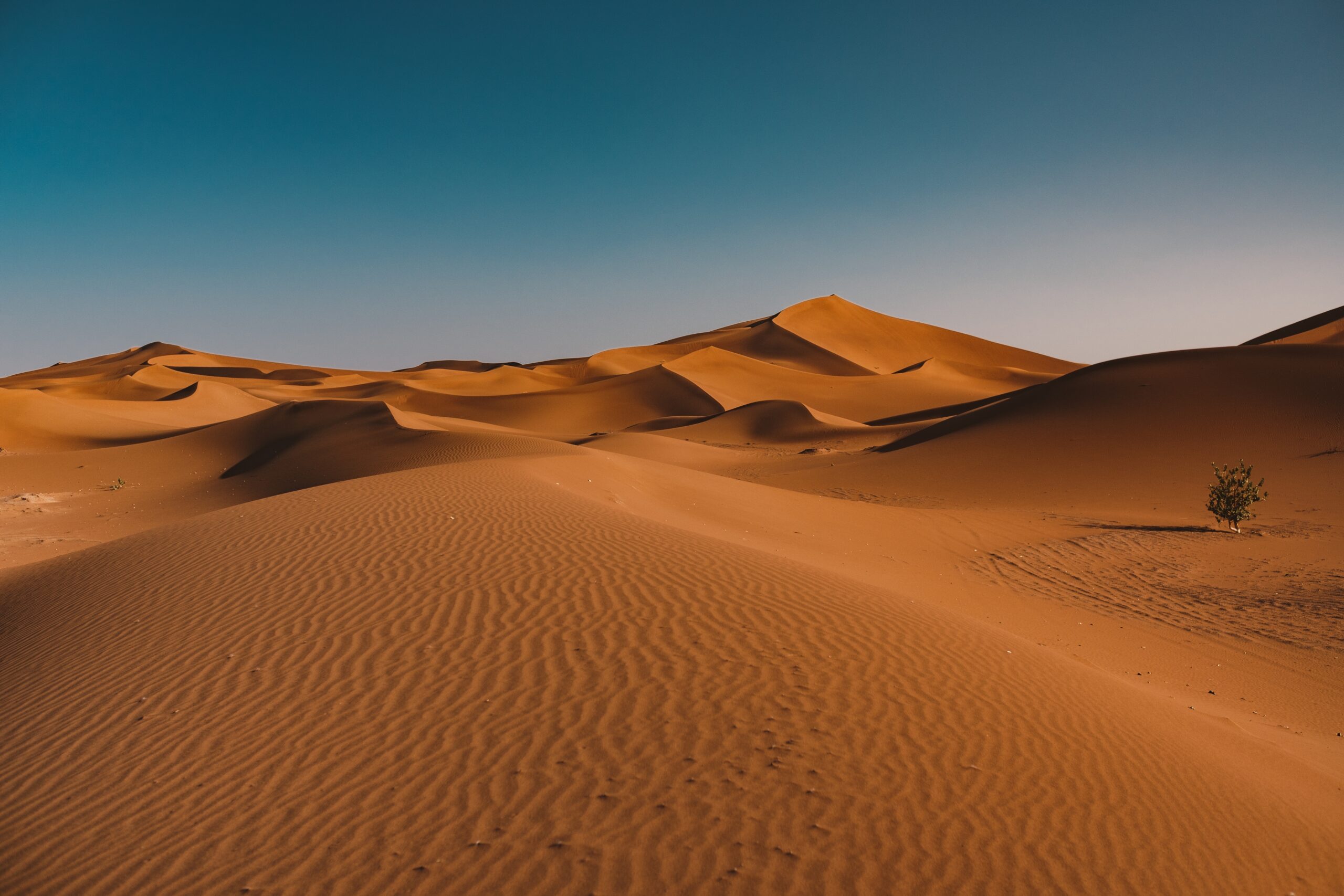A beautiful view of tranquil desert under the clear sky captured in Morocco